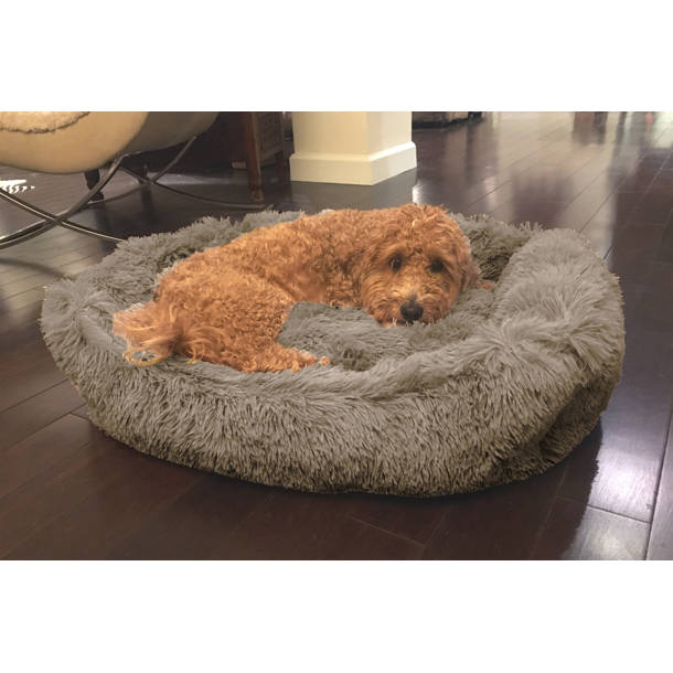 Go Pet Club Dog Grooming Table with Arm & Reviews Wayfair Canada